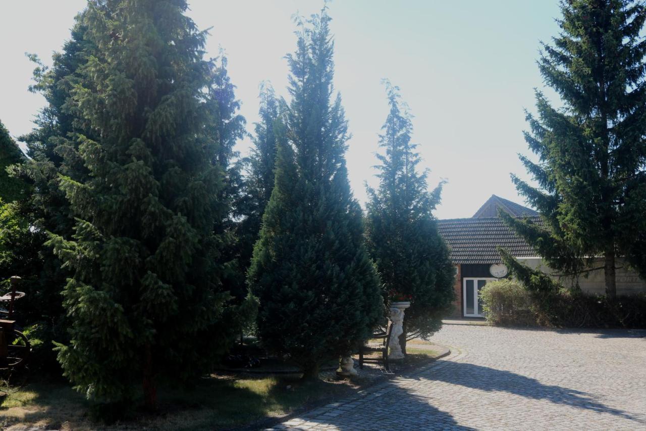 Spreewaldhotel Garni Raddusch Vetschau Dış mekan fotoğraf